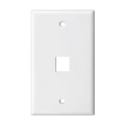 PLACA DE PARED SIMPLE DE 1 PUERTO BLANCO SATRA
