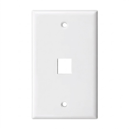 PLACA DE PARED SIMPLE DE 1 PUERTO BLANCO SATRA